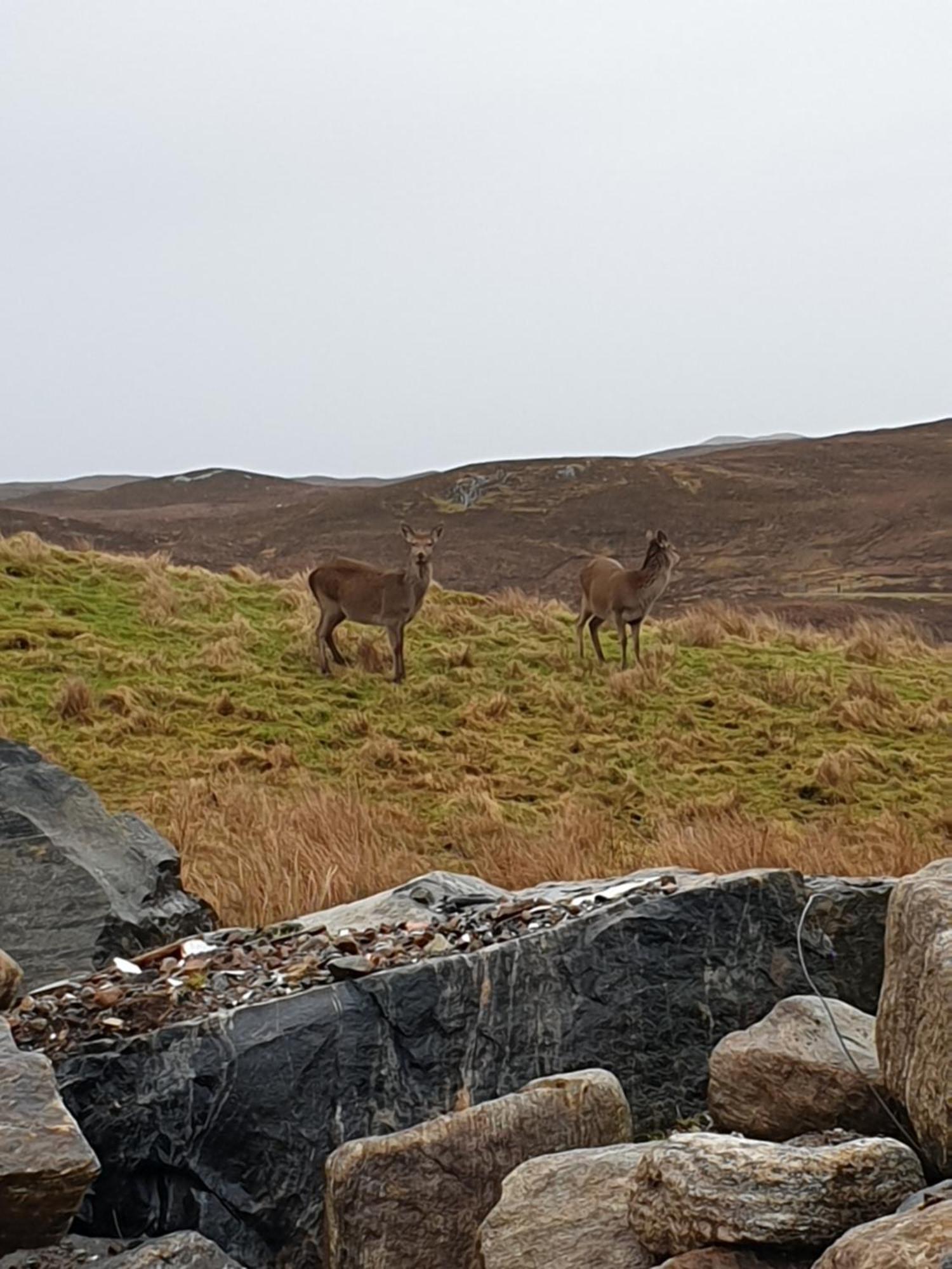 ホテル The Loch Erisort Balallan エクステリア 写真