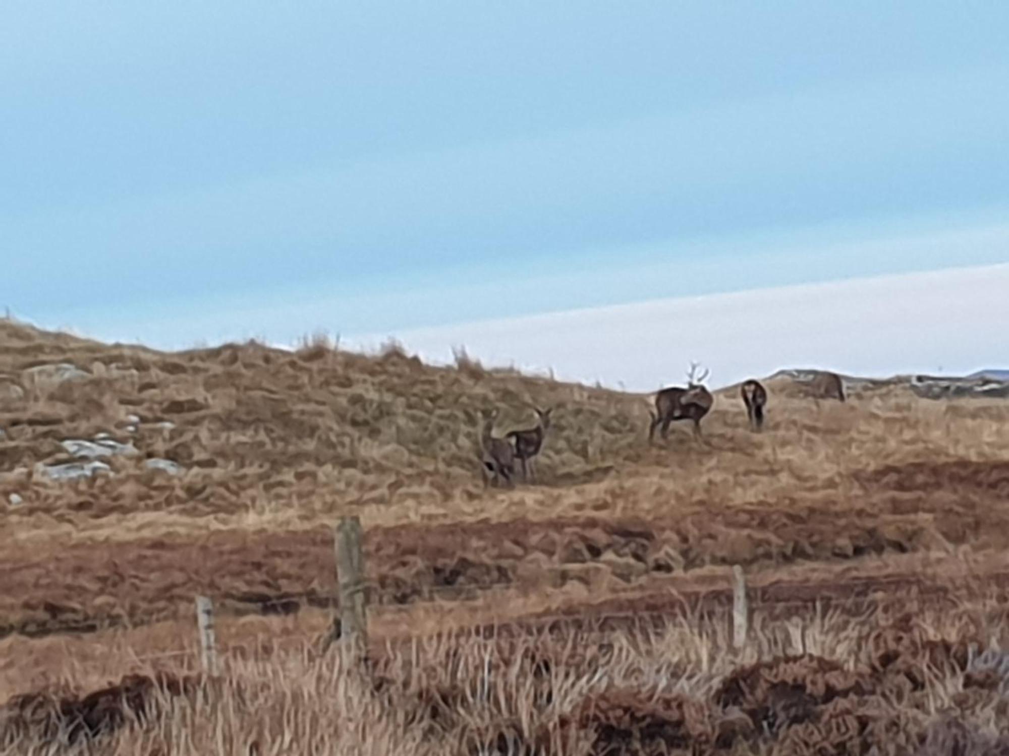 ホテル The Loch Erisort Balallan エクステリア 写真